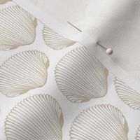 RIDGED SHELLS WHITE SAND