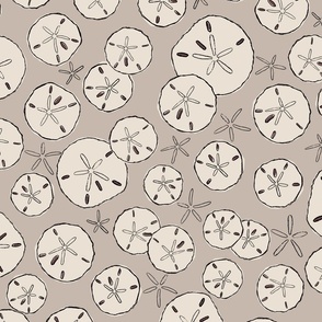 (XL) Sand dollars natural shell taupe 24x36-01