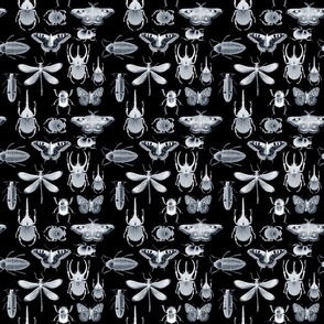 Bug Collage Invert