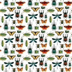 Bug Collage Vintage Color