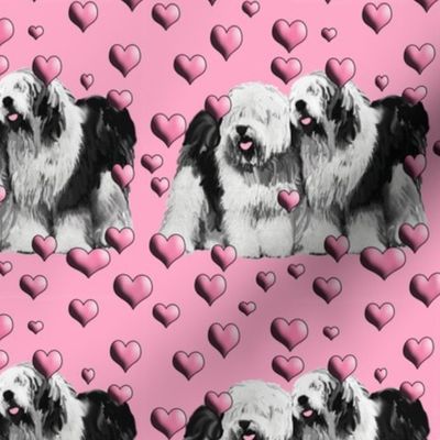 old_english_sheepdogs_and_hearts