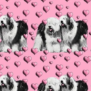 old_english_sheepdogs_and_hearts