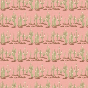 Rows of blooming saguaro cacti on soft pink linen texture | tiny