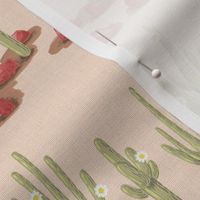 Rows of blooming saguaro cacti and red stones on sand linen texture | small