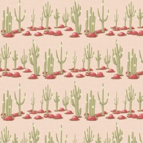 Rows of blooming saguaro cacti and red stones on sand linen texture | small