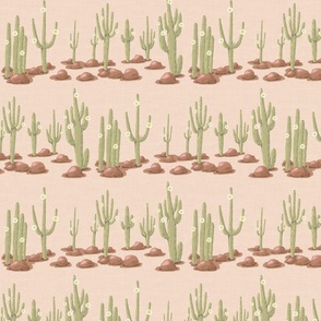 Rows of blooming saguaro cacti and brown stones on sand linen texture | small