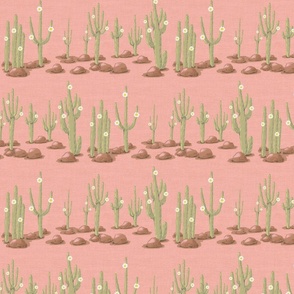 Rows of blooming saguaro cacti on soft pink linen texture | small