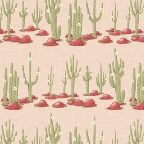 Rows of blooming saguaro cacti and red stones on sand linen texture | medium