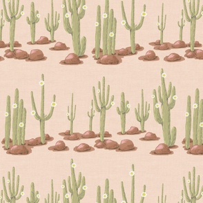Rows of blooming saguaro cacti and brown stones on sand linen texture | medium
