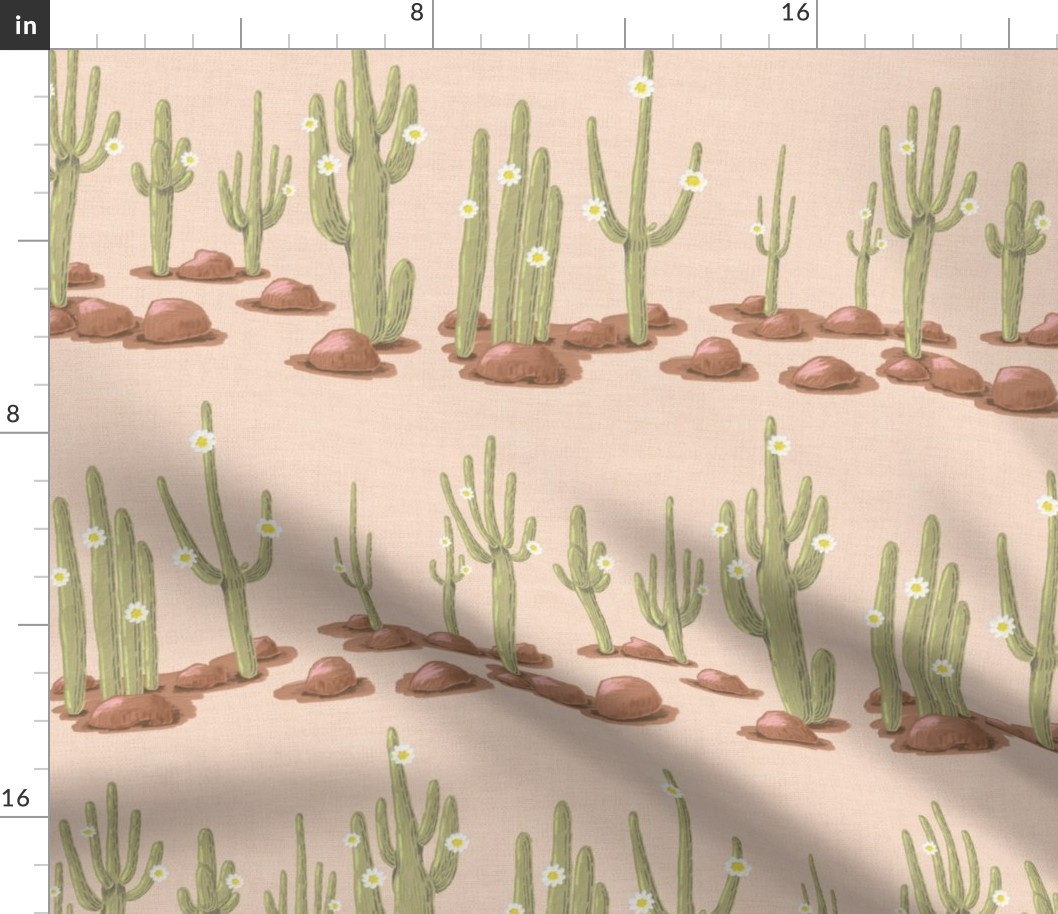 Rows of blooming saguaro cacti and brown stones on sand linen texture | medium