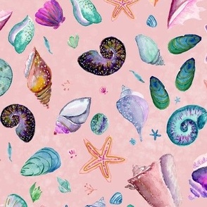 Sea shells pink- medium