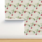 Watercolor Strawberries on white