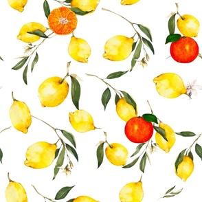 Summer,citrus,oranges,lemon fruit,Mediterranean art