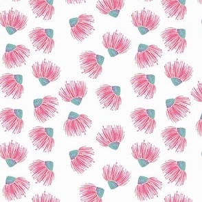 Australian gum flower- small size-2024