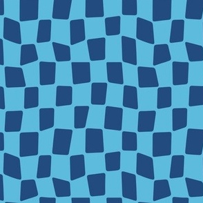 Funky Checkered Blue 
