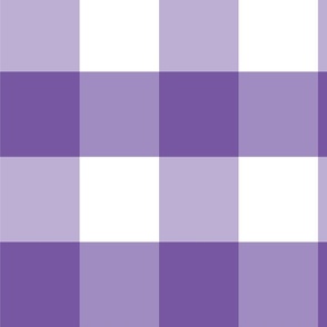 Southern Purple Gingham (Large)