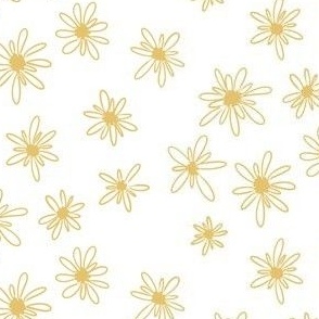 Yellow daisies on solid white background