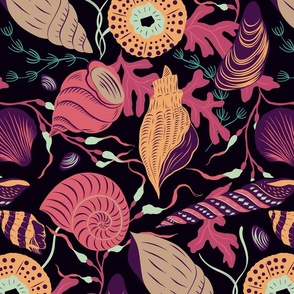 (L) Seashells, sea urchins and clams in tropical black
