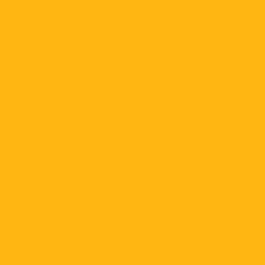 Gold Yellow Plain Solid ffb612
