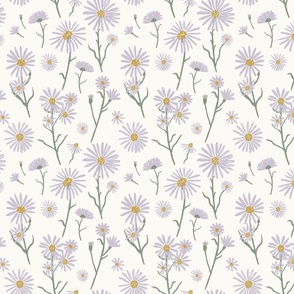 Soft floral aster flowers, pale lavender