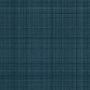 Natural Hemp Checks Grasscloth Texture Benjamin Moore _Washington Blue Navy Blue 304656 Subtle Modern Abstract Geometric