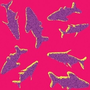 Sharks Above Pink and Purple