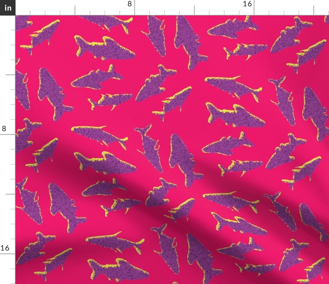 Sharks Above Pink and Purple