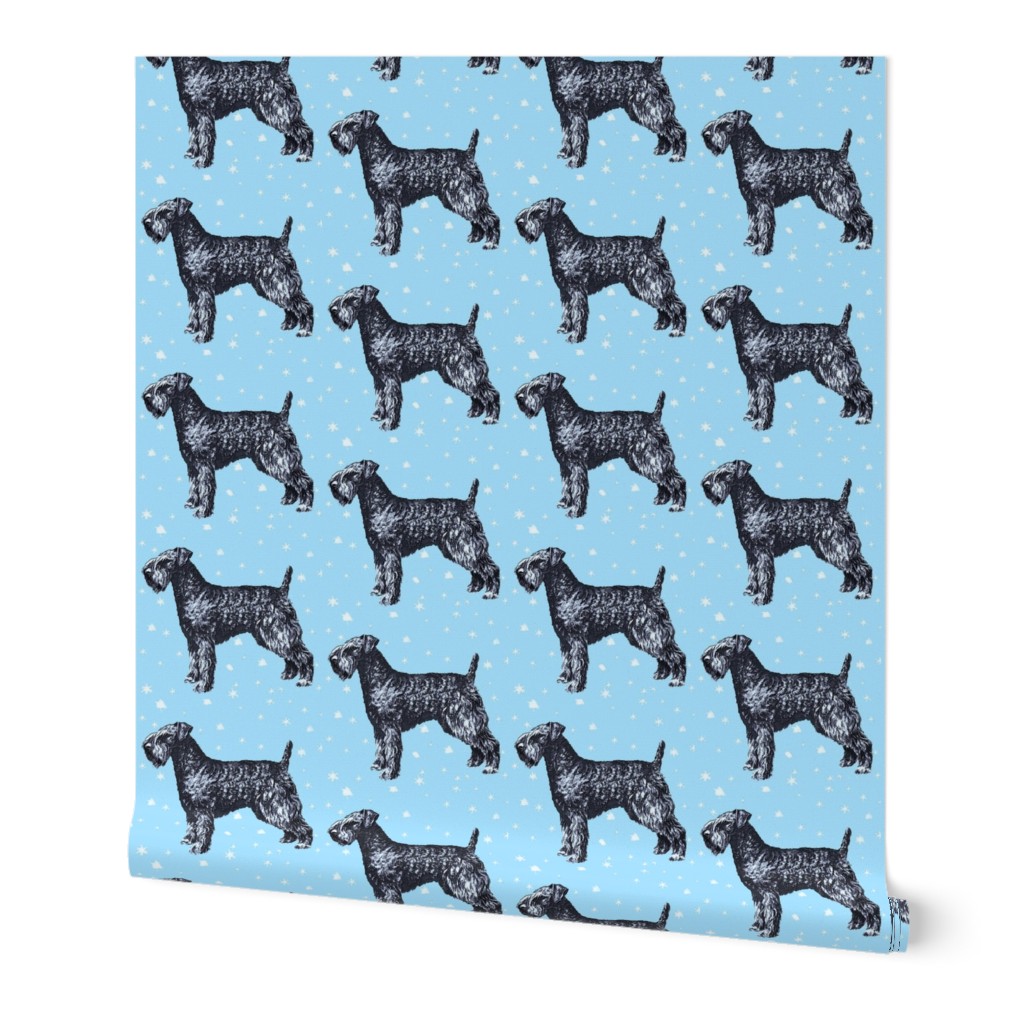 kerry_blue_terrier_with_stars