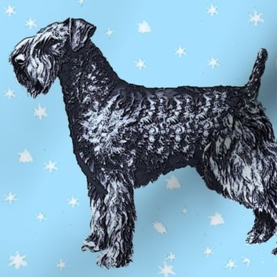 kerry_blue_terrier_with_stars