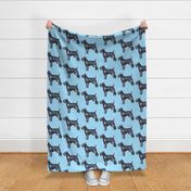 kerry_blue_terrier_with_stars