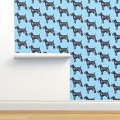 kerry_blue_terrier_with_stars