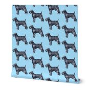 kerry_blue_terrier_with_stars