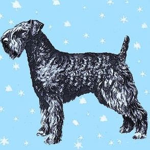 kerry_blue_terrier_with_stars