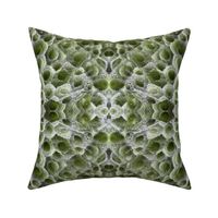 Nature's_Miniature_Cushions_Sage Green