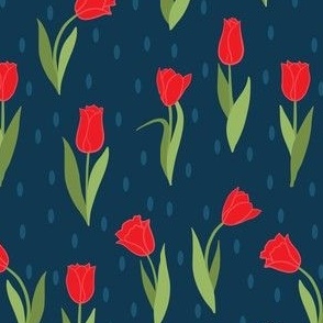 Scarlet red spring tulips on navy blue