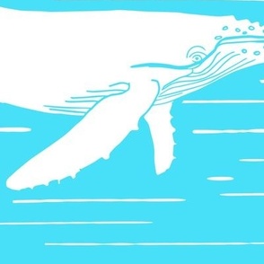 (S) Humpback Whale Aqua Blue and White