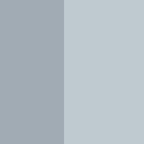 pastel-fog-blue-bfc9d0-solid-panels