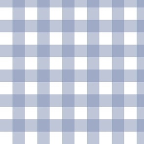 Grey Blue Gingham Tablecloth Pattern