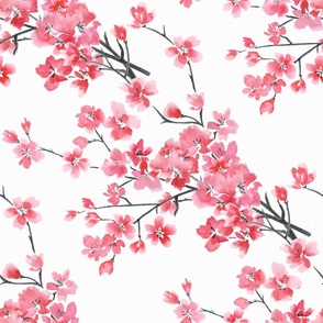 Sakura. Cherry blossoms. Watercolor pattern.