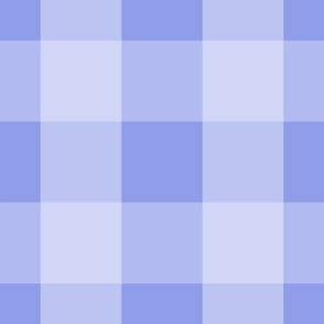 Periwinkle Gingham Checks