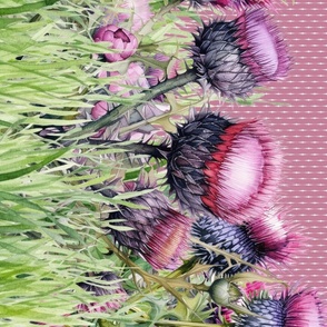 DOUBLE BORDER SPRING PURPLE THISTLE ON PINK VIOLET FLWRHT
