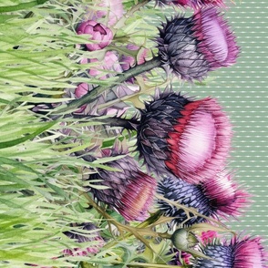 DOUBLE BORDER SPRING PURPLE THISTLE ON SAGE GREEN FLWRHT