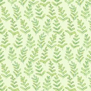 Soft Green Feathery Ferns – watercolor whimsical ferns