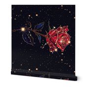 june rose constellation FQ panel