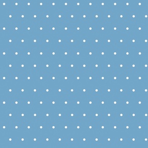 Light Blue with white dots