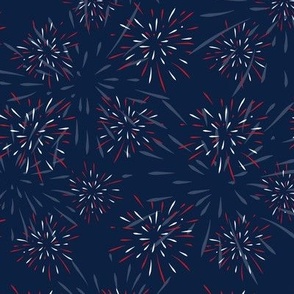 4th of July - Red White and Blue Fireworks