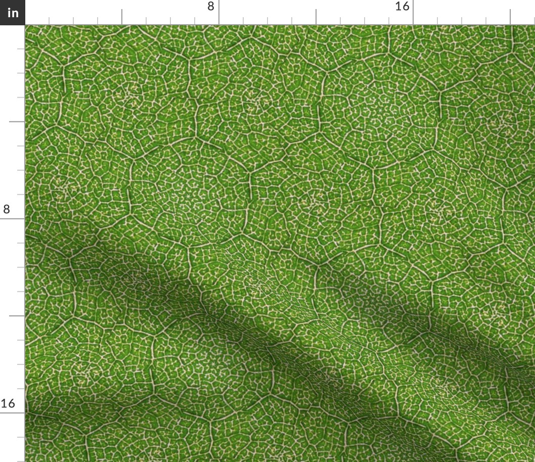 Texture-Leave-Green-Tiny