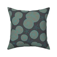 (XL) Sand dollars teal dark blue 24x36-09