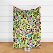 LARGE-Butterflies- Lime Green Stripes