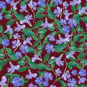 Hand Drawn Watercolor Periwinkle Field on Burgundy, L